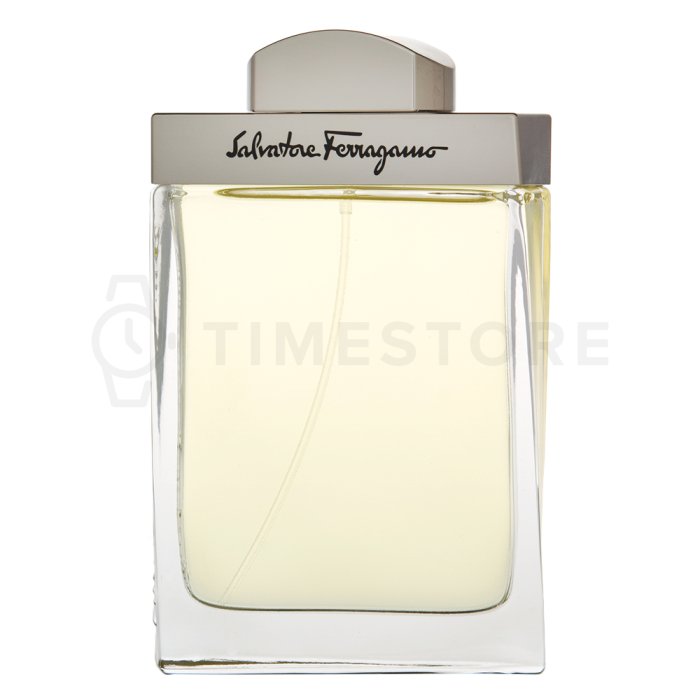 Salvatore Ferragamo Pour Homme toaletní voda pro muže 100 ml   - 30 dnů na vrácení zboží