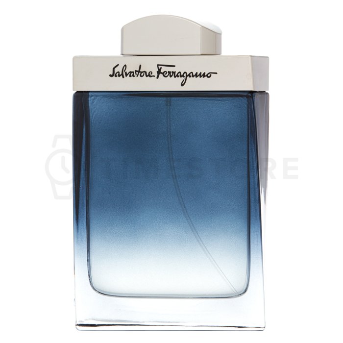 Salvatore Ferragamo Subtil Pour Homme toaletní voda pro muže 100 ml   - 30 dnů na vrácení zboží