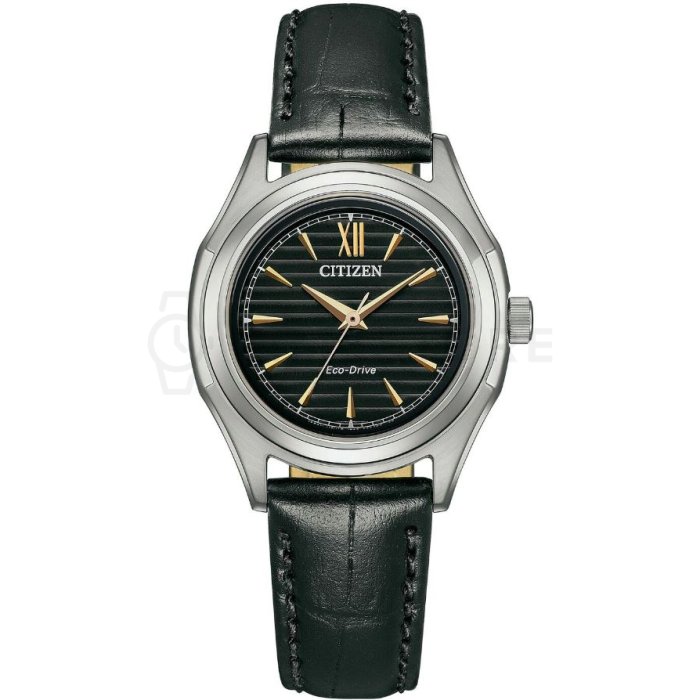 Levně Citizen Eco-Drive FE2110-14E