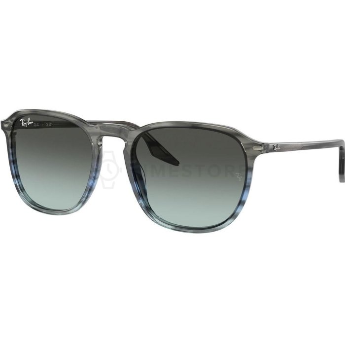 Levně Ray-Ban RB2203 1391GK 55