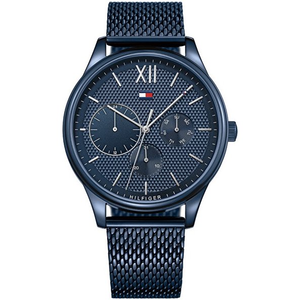 Levně Tommy Hilfiger Damon 1791421