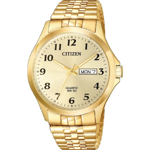 Levně Citizen Quartz BF5002-99P