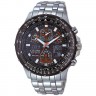 Citizen Skyhawk